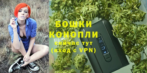 2c-b Вяземский