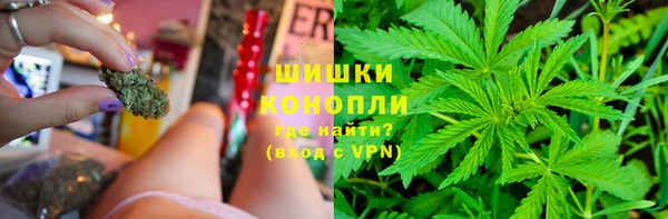 2c-b Вяземский