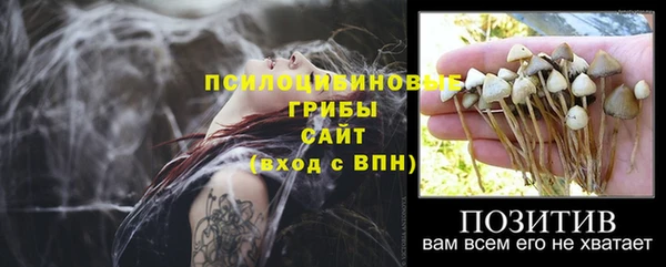 дурь Вязники