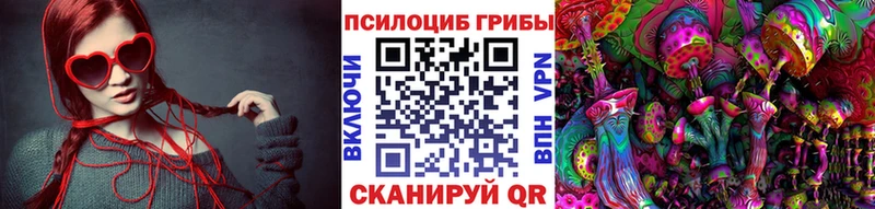 Псилоцибиновые грибы ЛСД  где продают   MEGA зеркало  Заринск 